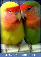 Cliquez sur l'image pour la voir en taille r�elle

Nom : thXVJG0OEI.jpg
Affichages : 70
Taille : 37,1 Ko
ID : 114856