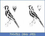 Cliquez sur l'image pour la voir en taille réelle
Nom : 2210925037_small_3.jpg
Affichages : 2337
Taille : 26,3 Ko
ID : 115522