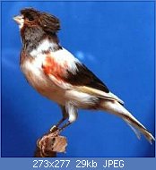 Cliquez sur l'image pour la voir en taille réelle
Nom : arlpt.jpg
Affichages : 2999
Taille : 29,1 Ko
ID : 115527