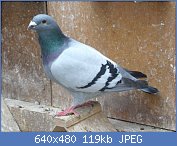Cliquez sur l'image pour la voir en taille relle

Nom : 812077P1030814.jpg
Affichages : 583
Taille : 119,4 Ko
ID : 115932
