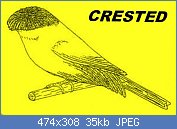 Cliquez sur l'image pour la voir en taille relle

Nom : thJV4KQR19.jpg
Affichages : 2271
Taille : 35,0 Ko
ID : 116032