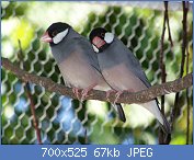 Cliquez sur l'image pour la voir en taille relle

Nom : 1280px-Nuovefoto_025.jpg
Affichages : 126
Taille : 66,6 Ko
ID : 116812