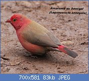 Cliquez sur l'image pour la voir en taille relle

Nom : 2009-0712-LagoSene-Ethiopia-BahirDar-202.jpg
Affichages : 309
Taille : 83,2 Ko
ID : 117203