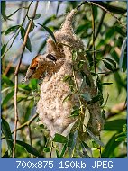 Cliquez sur l'image pour la voir en taille relle

Nom : 800px-Builder_at_Work_(19365365986).jpg
Affichages : 94
Taille : 189,7 Ko
ID : 117594