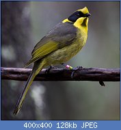 Cliquez sur l'image pour la voir en taille relle

Nom : 7302922_orig.jpg
Affichages : 103
Taille : 127,8 Ko
ID : 117597