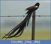 Cliquez sur l'image pour la voir en taille relle

Nom : tumblr_nntbwvHN851ungz7ho1_500.jpg
Affichages : 76
Taille : 27,5 Ko
ID : 117663