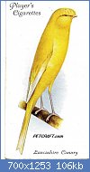 Cliquez sur l'image pour la voir en taille relle

Nom : bird-card-uk024txt.jpg
Affichages : 2201
Taille : 105,6 Ko
ID : 118569