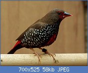 Cliquez sur l'image pour la voir en taille r�elle

Nom : 1280px-Emblema_picta.jpg
Affichages : 143
Taille : 57,9 Ko
ID : 118913