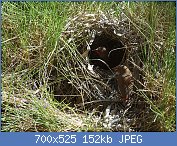 Cliquez sur l'image pour la voir en taille réelle
Nom : 869765334_cf316c3dfa.jpg
Affichages : 159
Taille : 152,0 Ko
ID : 118919