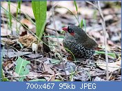 Cliquez sur l'image pour la voir en taille relle

Nom : 32184130691_b62eae4841_b.jpg
Affichages : 436
Taille : 94,9 Ko
ID : 119014