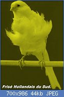 Cliquez sur l'image pour la voir en taille relle

Nom : padovanotl.jpg
Affichages : 488
Taille : 44,1 Ko
ID : 119348