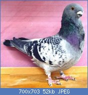 Cliquez sur l'image pour la voir en taille relle

Nom : anglaismin 6.jpg
Affichages : 186
Taille : 52,1 Ko
ID : 119377