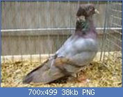 Cliquez sur l'image pour la voir en taille relle

Nom : sans-titre anatolie.jpg
Affichages : 188
Taille : 37,7 Ko
ID : 119393