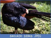 Cliquez sur l'image pour la voir en taille relle

Nom : 7386161658_7c07cd628a_z.jpg
Affichages : 164
Taille : 168,6 Ko
ID : 119558