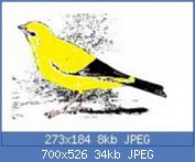 Cliquez sur l'image pour la voir en taille réelle
Nom : images%20(6).jpg
Affichages : 549
Taille : 34,2 Ko
ID : 119727