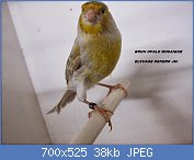 Cliquez sur l'image pour la voir en taille relle

Nom : Brun Opale Mosaique9.jpg
Affichages : 1221
Taille : 38,4 Ko
ID : 119854