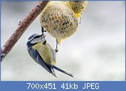 Cliquez sur l'image pour la voir en taille r�elle

Nom : BBT4rJY.jpg
Affichages : 116
Taille : 40,5 Ko
ID : 120252