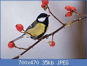 Cliquez sur l'image pour la voir en taille r�elle

Nom : BBT4rK0.jpg
Affichages : 145
Taille : 34,9 Ko
ID : 120253