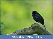 Cliquez sur l'image pour la voir en taille r�elle

Nom : BBT4mPE.jpg
Affichages : 148
Taille : 35,2 Ko
ID : 120254