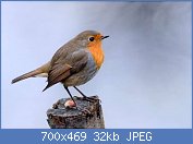 Cliquez sur l'image pour la voir en taille r�elle

Nom : BBT4ypj.jpg
Affichages : 140
Taille : 32,0 Ko
ID : 120255