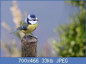 Cliquez sur l'image pour la voir en taille r�elle

Nom : BBT4CZB.jpg
Affichages : 148
Taille : 33,2 Ko
ID : 120256