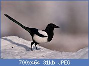 Cliquez sur l'image pour la voir en taille r�elle

Nom : BBT4tS2.jpg
Affichages : 120
Taille : 31,2 Ko
ID : 120257