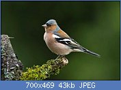 Cliquez sur l'image pour la voir en taille r�elle

Nom : BBT4wez.jpg
Affichages : 130
Taille : 42,8 Ko
ID : 120258