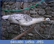 Cliquez sur l'image pour la voir en taille r�elle

Nom : imgp0310.jpg
Affichages : 247
Taille : 145,1 Ko
ID : 120871