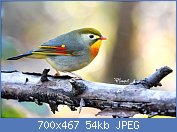 Cliquez sur l'image pour la voir en taille r�elle

Nom : FB_IMG_1551373823771.jpg
Affichages : 240
Taille : 54,5 Ko
ID : 120958