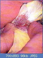 Cliquez sur l'image pour la voir en taille relle

Nom : insemination1.jpg
Affichages : 146
Taille : 98,4 Ko
ID : 121018