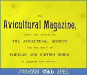 Cliquez sur l'image pour la voir en taille r�elle

Nom : 46e83f57-a98b-4340-88cd-43ccdcec1769.jpg
Affichages : 144
Taille : 35,0 Ko
ID : 121244