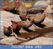 Cliquez sur l'image pour la voir en taille r�elle

Nom : 349d2cd4.jpg
Affichages : 126
Taille : 64,2 Ko
ID : 121300