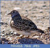 Cliquez sur l'image pour la voir en taille réelle
Nom : IMG_6947.jpg
Affichages : 127
Taille : 75,8 Ko
ID : 121352