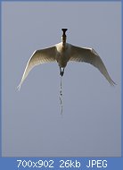 Cliquez sur l'image pour la voir en taille r�elle

Nom : Ruriques_ORU_Illustration_bv.htm.jpg
Affichages : 154
Taille : 25,8 Ko
ID : 121371