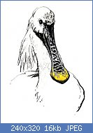 Cliquez sur l'image pour la voir en taille r�elle

Nom : Spatule blanche 4.jpg
Affichages : 115
Taille : 15,9 Ko
ID : 121372