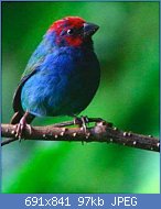 Cliquez sur l'image pour la voir en taille r�elle

Nom : thM62FOM8L.jpg
Affichages : 141
Taille : 96,9 Ko
ID : 121397