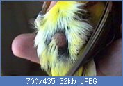 Cliquez sur l'image pour la voir en taille relle

Nom : 2802134163_1.jpg
Affichages : 512
Taille : 32,3 Ko
ID : 121747