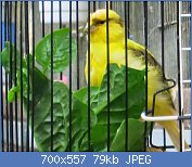 Cliquez sur l'image pour la voir en taille réelle
Nom : IMG_7568.jpg
Affichages : 2343
Taille : 79,0 Ko
ID : 121750