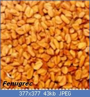 Cliquez sur l'image pour la voir en taille relle

Nom : fenugrec-graines-620-7-150x150.jpg
Affichages : 461
Taille : 43,3 Ko
ID : 121756