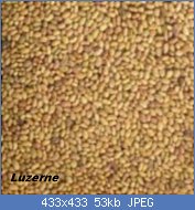 Cliquez sur l'image pour la voir en taille relle

Nom : 55113ddb3d402_bio_graines_a_germer_graines_alfalfa_zone-150x150.jpg
Affichages : 429
Taille : 53,0 Ko
ID : 121763