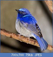 Cliquez sur l'image pour la voir en taille réelle
Nom : th.jpg
Affichages : 141
Taille : 78,9 Ko
ID : 121858