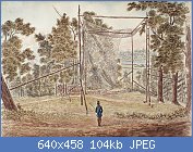 Cliquez sur l'image pour la voir en taille réelle
Nom : Passenger_Pigeon_Net_Cockburn_1829.jpg
Affichages : 148
Taille : 103,5 Ko
ID : 121975