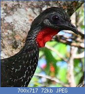 Cliquez sur l'image pour la voir en taille r�elle

Nom : penelope.marail.maxd.1p.jpg
Affichages : 149
Taille : 72,2 Ko
ID : 122094