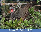 Cliquez sur l'image pour la voir en taille r�elle

Nom : _MG_1243_m.jpg
Affichages : 144
Taille : 85,6 Ko
ID : 122095