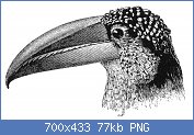 Cliquez sur l'image pour la voir en taille relle

Nom : 1280px-Naturalist_on_the_River_Amazons_figure_33.jpg
Affichages : 106
Taille : 77,3 Ko
ID : 122246