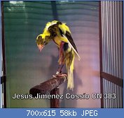 Cliquez sur l'image pour la voir en taille réelle
Nom : maxresdefaultbb.jpg
Affichages : 515
Taille : 58,4 Ko
ID : 122554