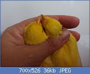 Cliquez sur l'image pour la voir en taille relle

Nom : PA4.jpg
Affichages : 3063
Taille : 36,1 Ko
ID : 122599