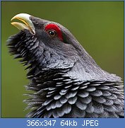 Cliquez sur l'image pour la voir en taille r�elle

Nom : Grand-t�tras-7.jpg
Affichages : 179
Taille : 64,2 Ko
ID : 122935