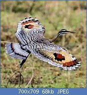 Cliquez sur l'image pour la voir en taille réelle
Nom : thFDC5K94K.jpg
Affichages : 516
Taille : 67,8 Ko
ID : 123088