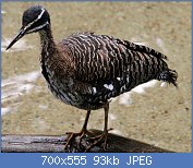 Cliquez sur l'image pour la voir en taille réelle
Nom : 1.jpg
Affichages : 533
Taille : 92,6 Ko
ID : 123093